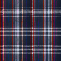 Mind The Gap SEAPORT PLAID