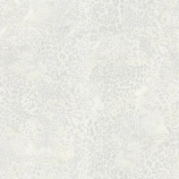Dolce & Gabbana LEOPARDO INCOGNITO