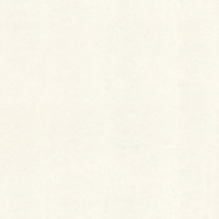 Dolce & Gabbana LEOPARDO