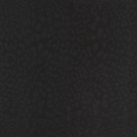 Dolce & Gabbana LEOPARDO