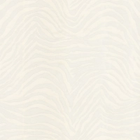 Dolce & Gabbana ZEBRA DOLCE