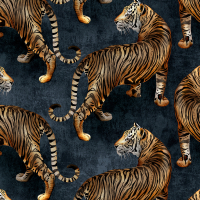 Avalana TIGRESS