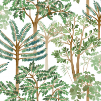 Today Interiors CASCADE