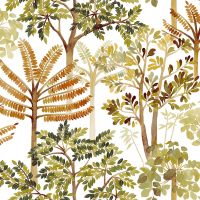 Today Interiors CASCADE