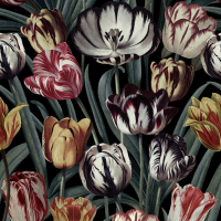 Mind The Gap Tulipa