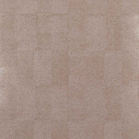 Lamella