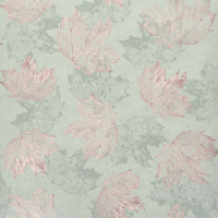 Sycamore