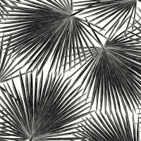 Today Interiors PALM