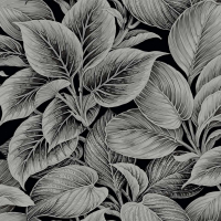 Today Interiors Shades of White Calla