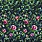 Multi Colour Wallpaper PDG1154/01