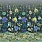 Multi Colour Wallpaper PDG1169/03