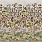 Multi Colour Wallpaper PDG1169/02