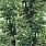 Green Wallpaper WP20785