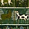 Green Wallpaper WP20611