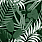 Green Wallpaper WP20492