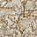 Brown & Beige Wallpaper GL76603