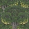 Green Wallpaper WP20466