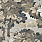 Brown & Beige Wallpaper TR70107
